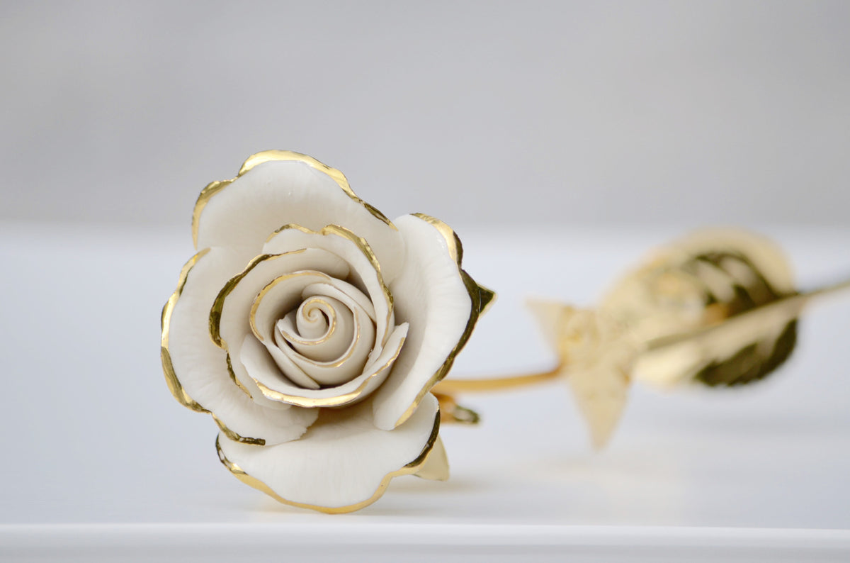 WHITE & GOLD  ROSE