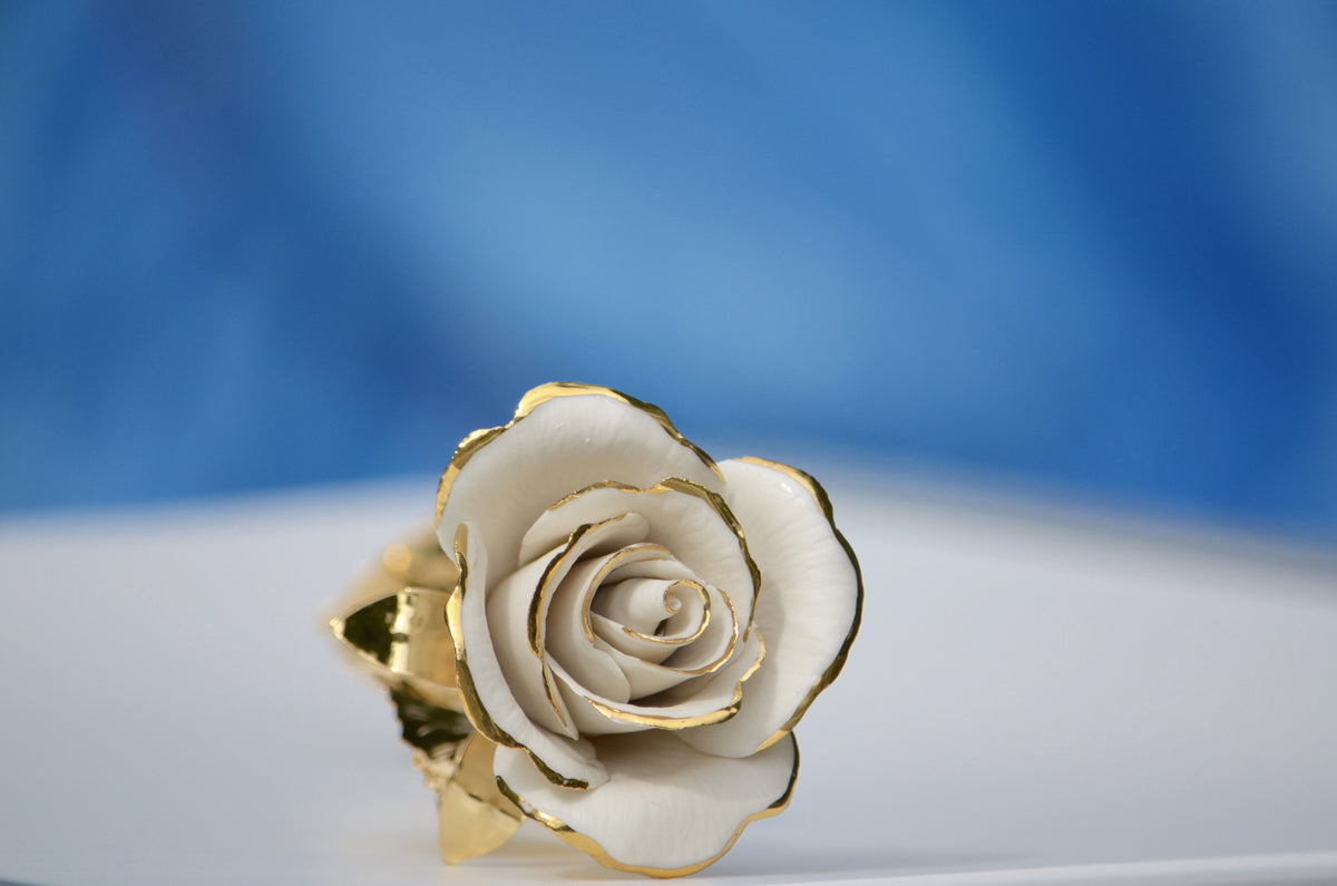 WHITE & GOLD  ROSE