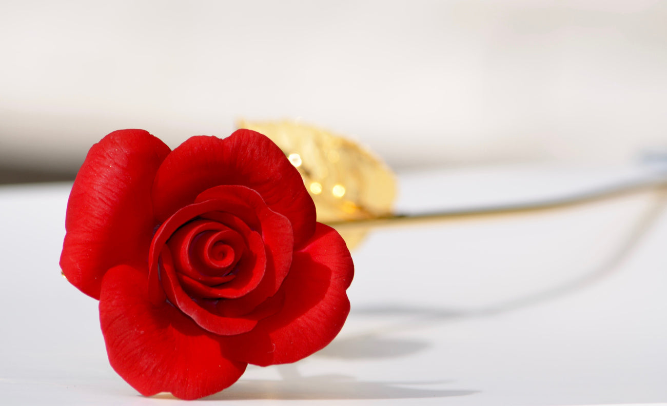 RED ROSA