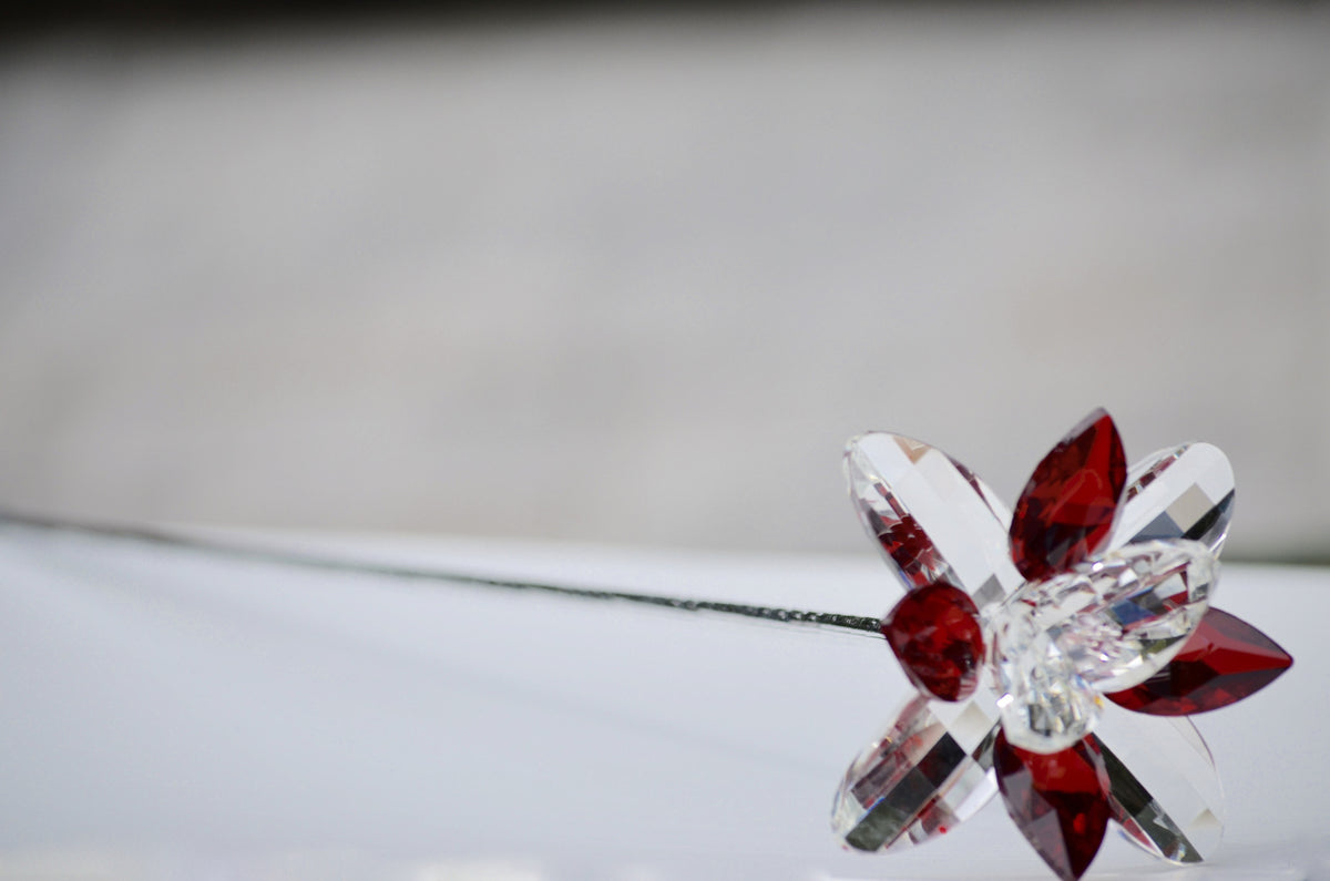 Red Crystal Lilie Flower