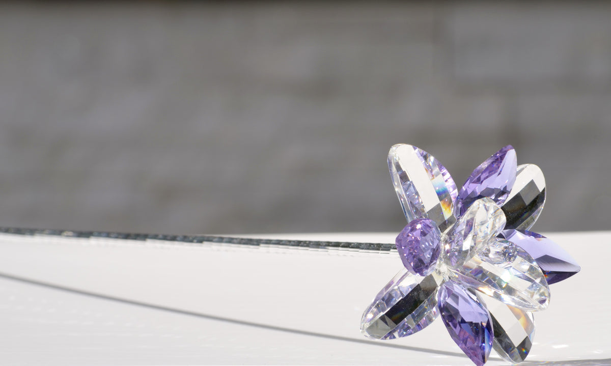 Purple Crystal Lilie Flower