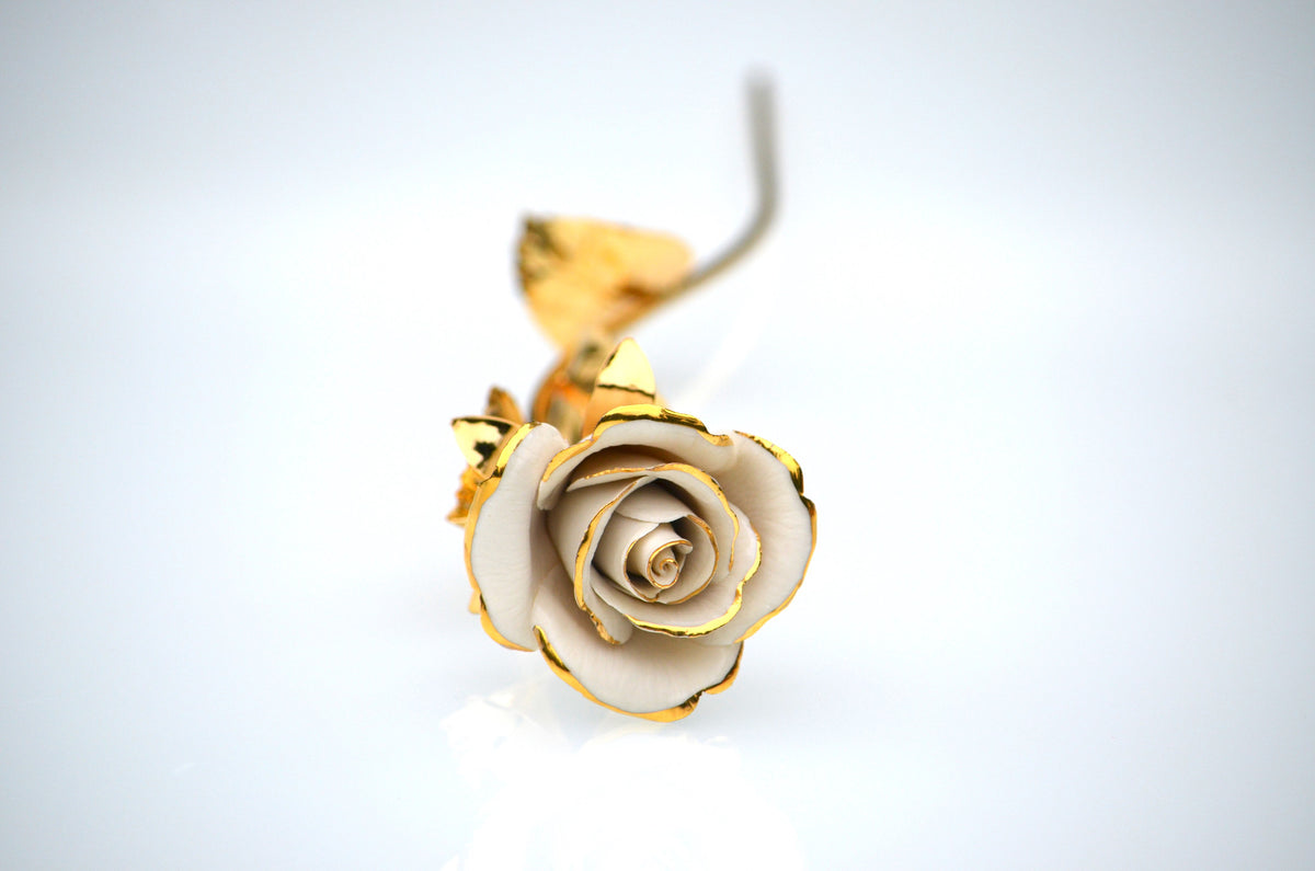 WHITE & GOLD  ROSE