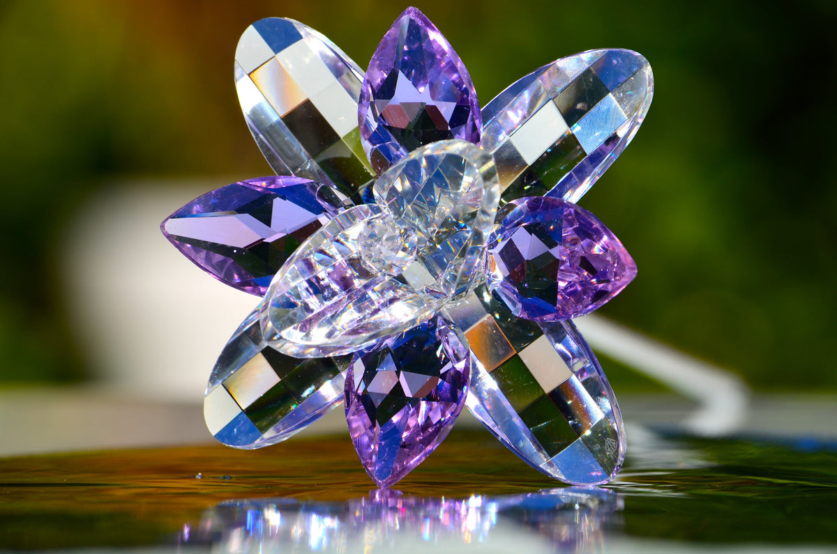 Purple Crystal Lilie Flower