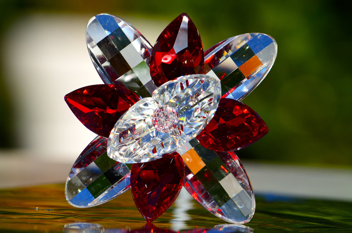 Red Crystal Lilie Flower