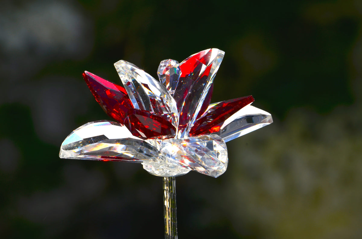 Red Crystal Lilie Flower