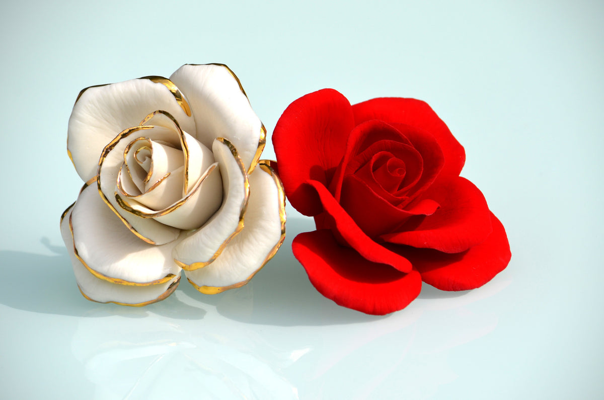 RED ROSA