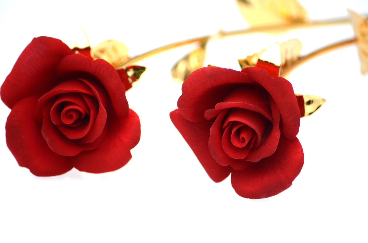 RED ROSA